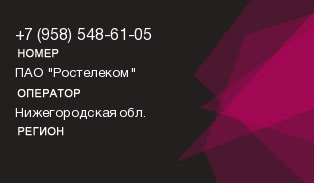 9585486105